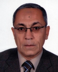 Professor Baher Effat