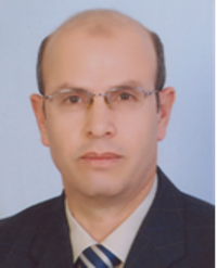 Professor Gaber Ahmed  Megahed