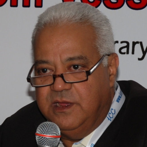 Professor Nabil Kitchener