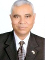 Professor Abdelmonem Awad Hegazy